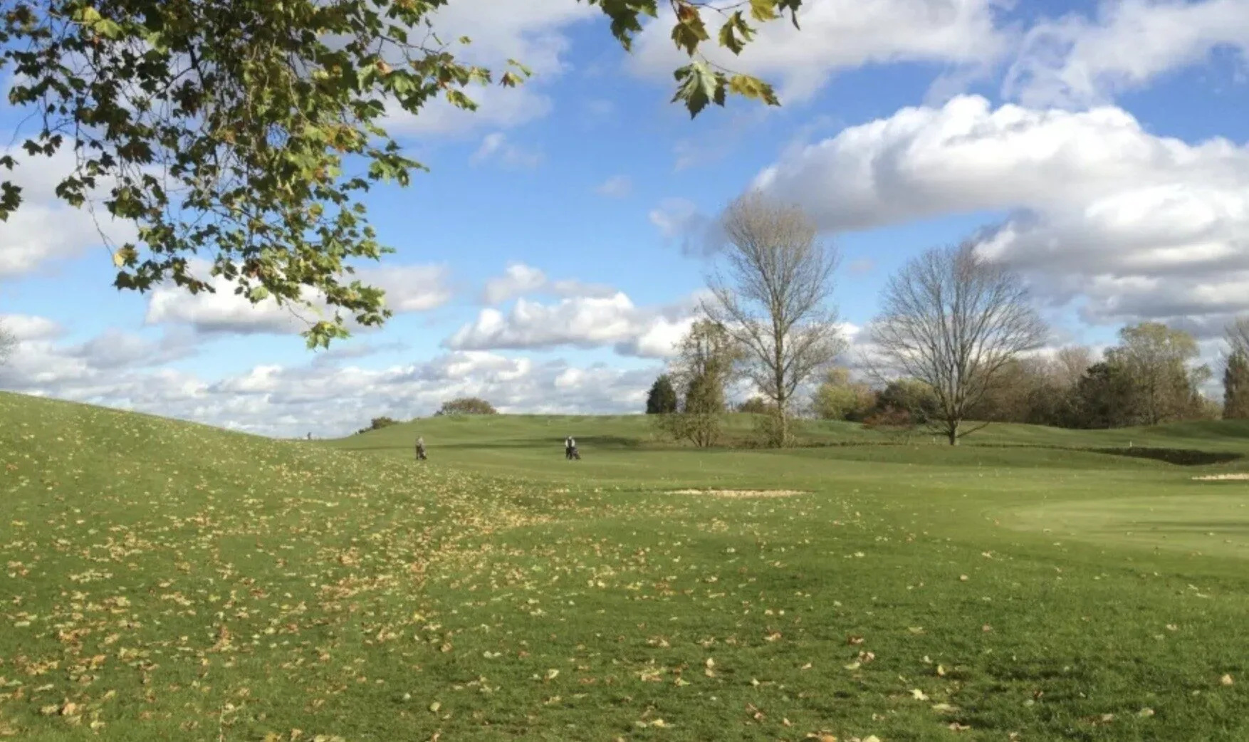 Teenage Girl Reports Rape on Footpath Near Bexleyheath Golf Course as Police Launch Investigation