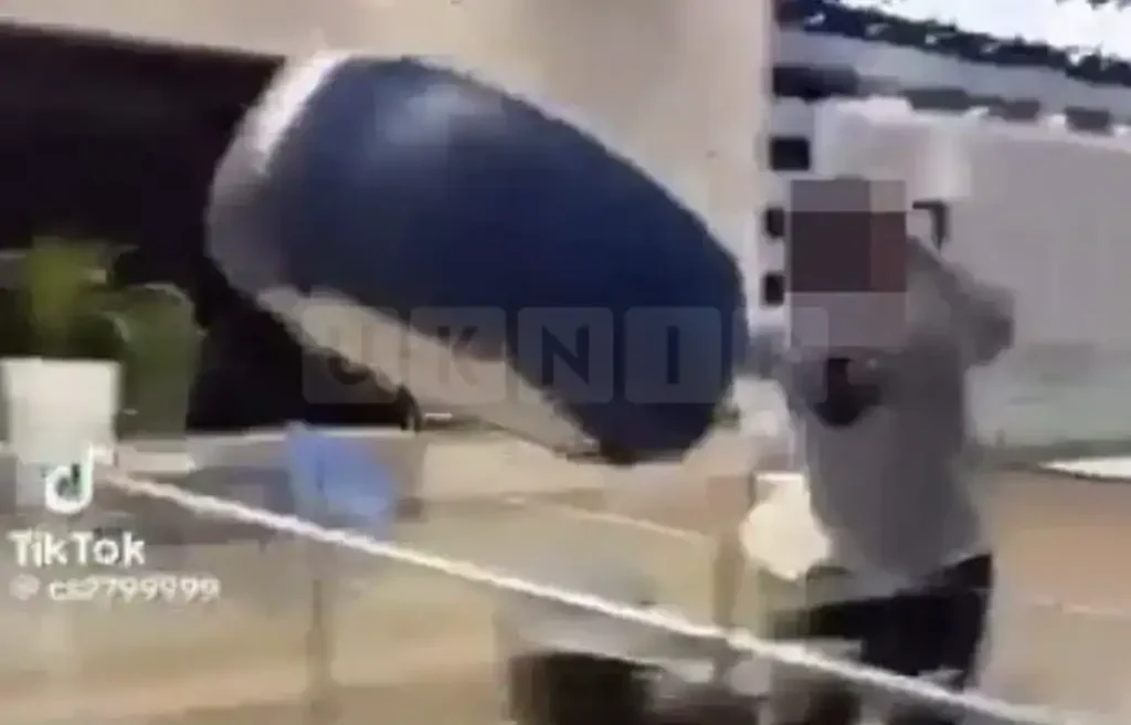 A 16-year-old boy has been handed an eight-month detention and training order for a reckless stunt inside a busy Stratford shopping centre