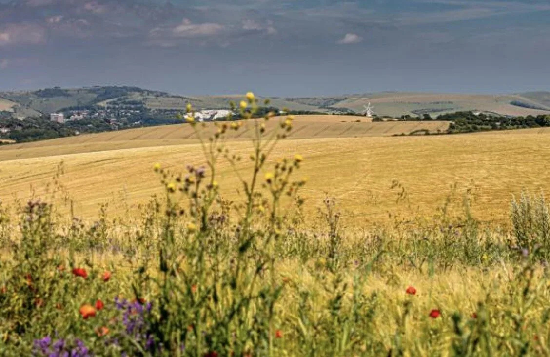 Kingston Near Lewes: Sussexâ€™s Posh Village with Real Charm