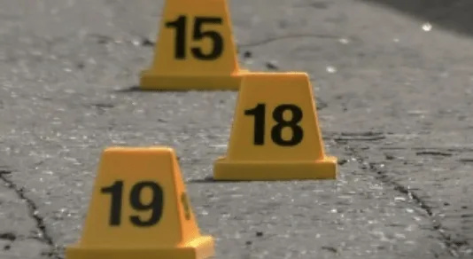 Man Shot Dead by Armed Police in Kent Murder Hunt After Roy Blackman Killing