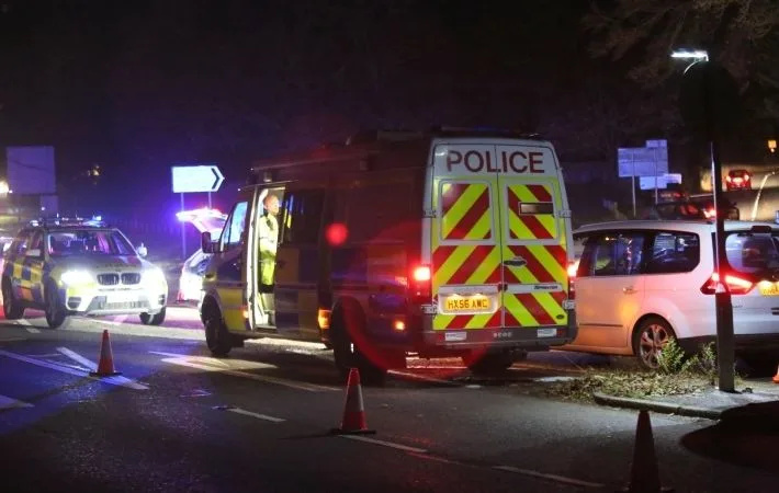 Police appeal for witnesses after pedestrian dies on A33 at Kings Worthy