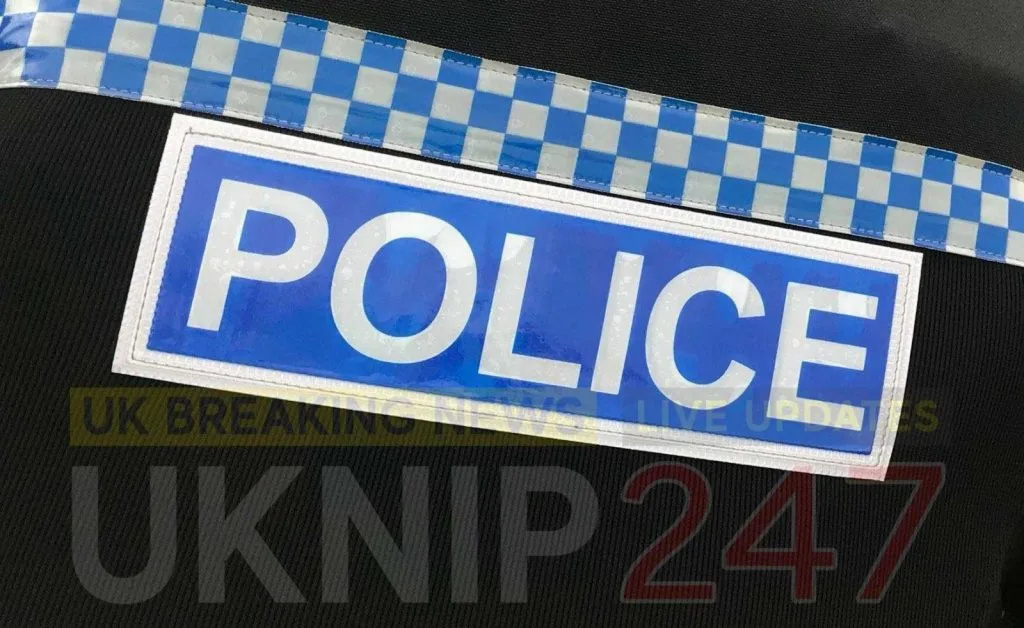 Two Dead as Ford Fiesta Crashes Into Tree Near Winchester â€“ Police Seek Witnesses