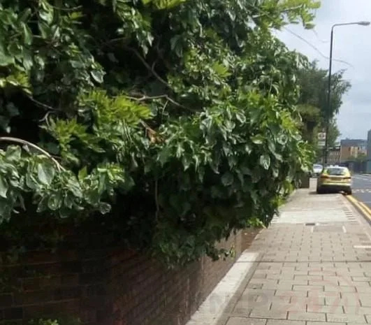 Man discovered with serious head injuries
