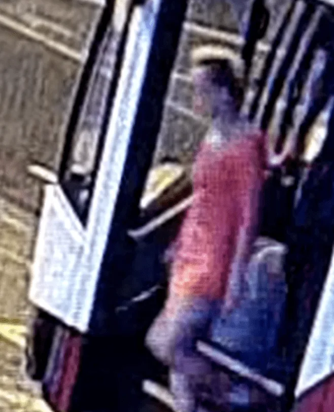 Murder Probe After Body Found Near Guildford A3 â€“ CCTV Reveals Last Sighting of Helen Anderson in Pink Dress