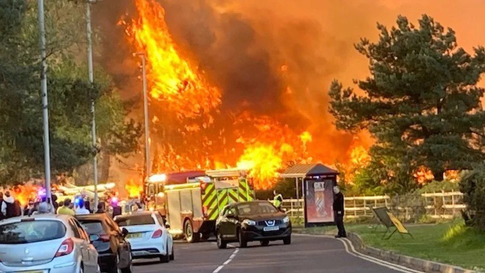 Massive Canford Heath Fire Forces Evacuations as Dorset Police Hunt Witnesses