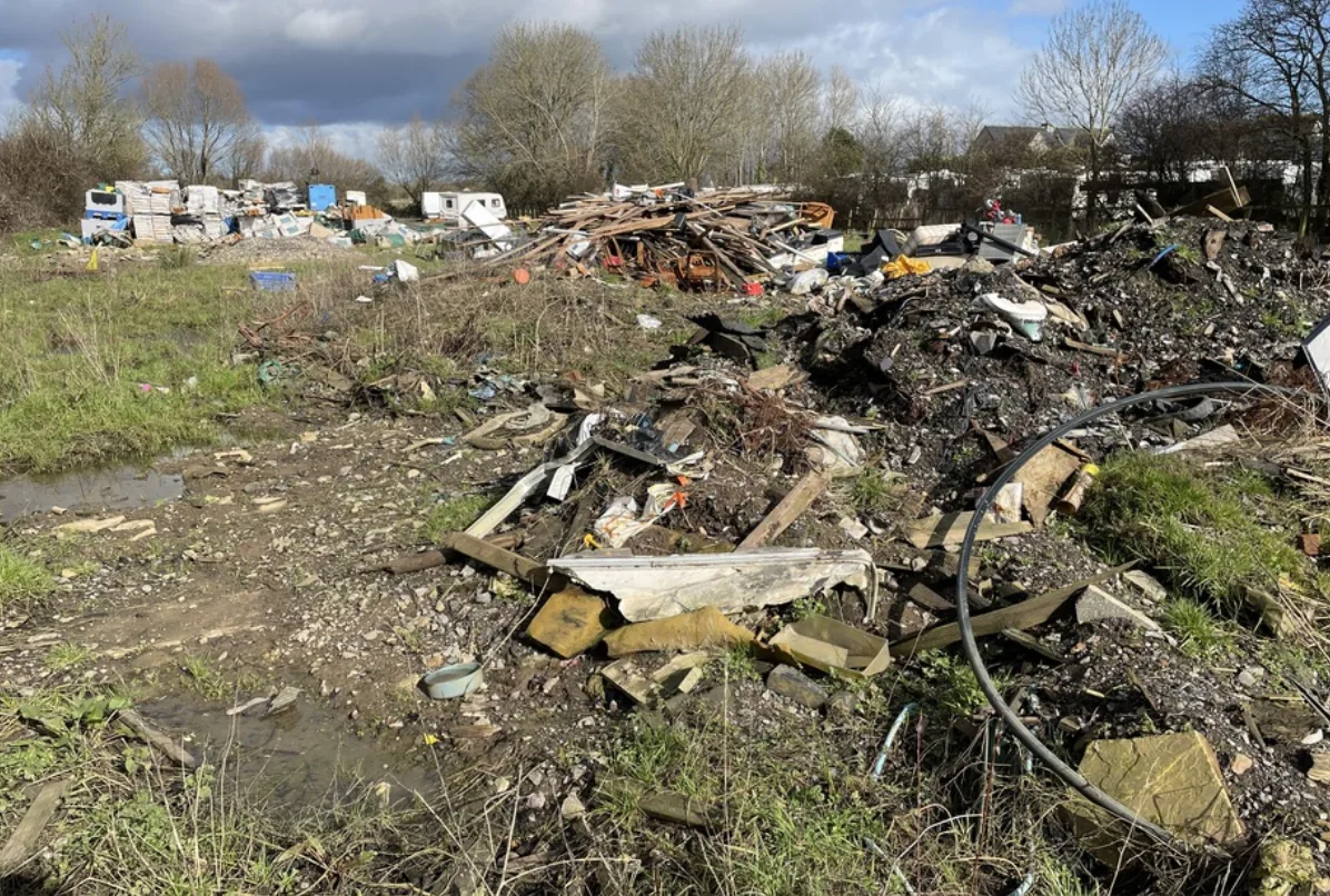 Somerset Caravan Park Owner Fined Â£116k for Ravaging Protected Wildlife Haven