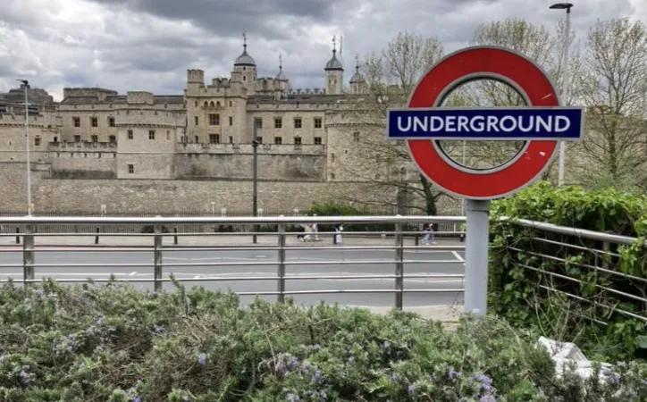 Two Canadians Charged with Attempted Murder and Drug Offences After Tower of London Stabbing