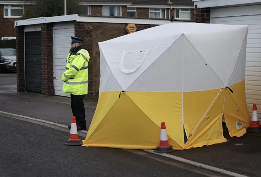 Nine-Year-Old Girl Stabbed to Death in Somerset