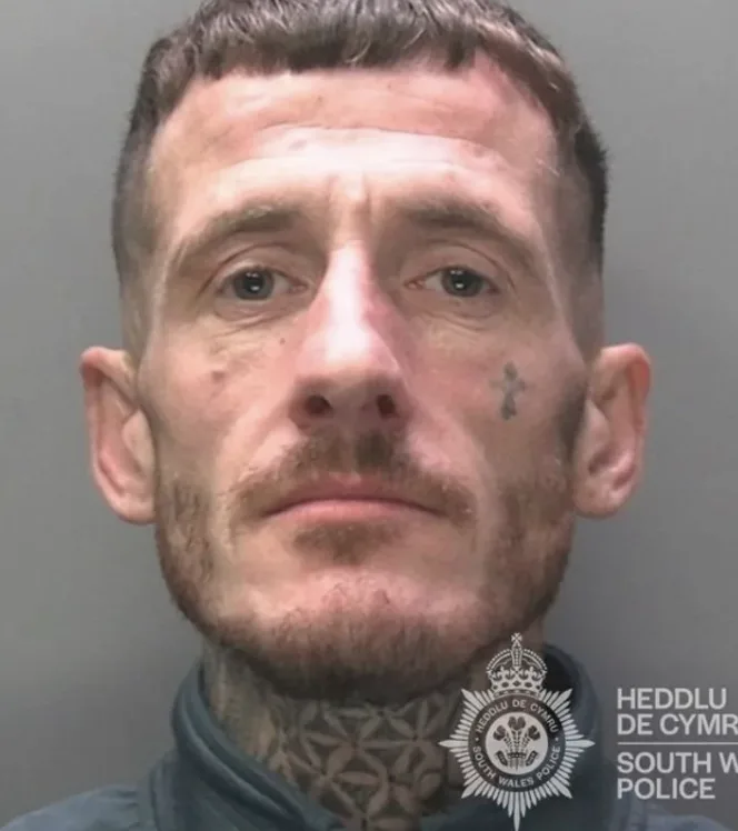 Swansea Shoplifter Jailed for Christmas After Â£861 Tesco Theft Spree