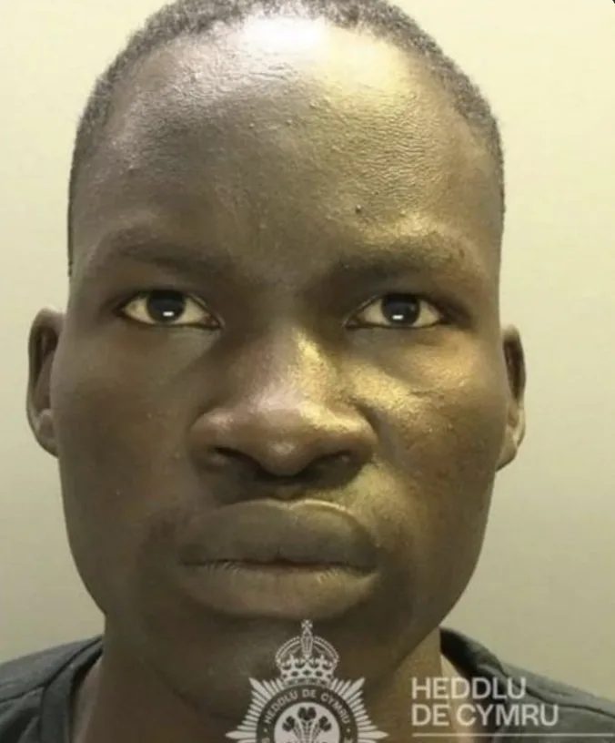 Sudanese Asylum Seeker Jailed for Brutal Henley Attack â€“ Repeat Offender Sparks Calls for Tougher Vetting