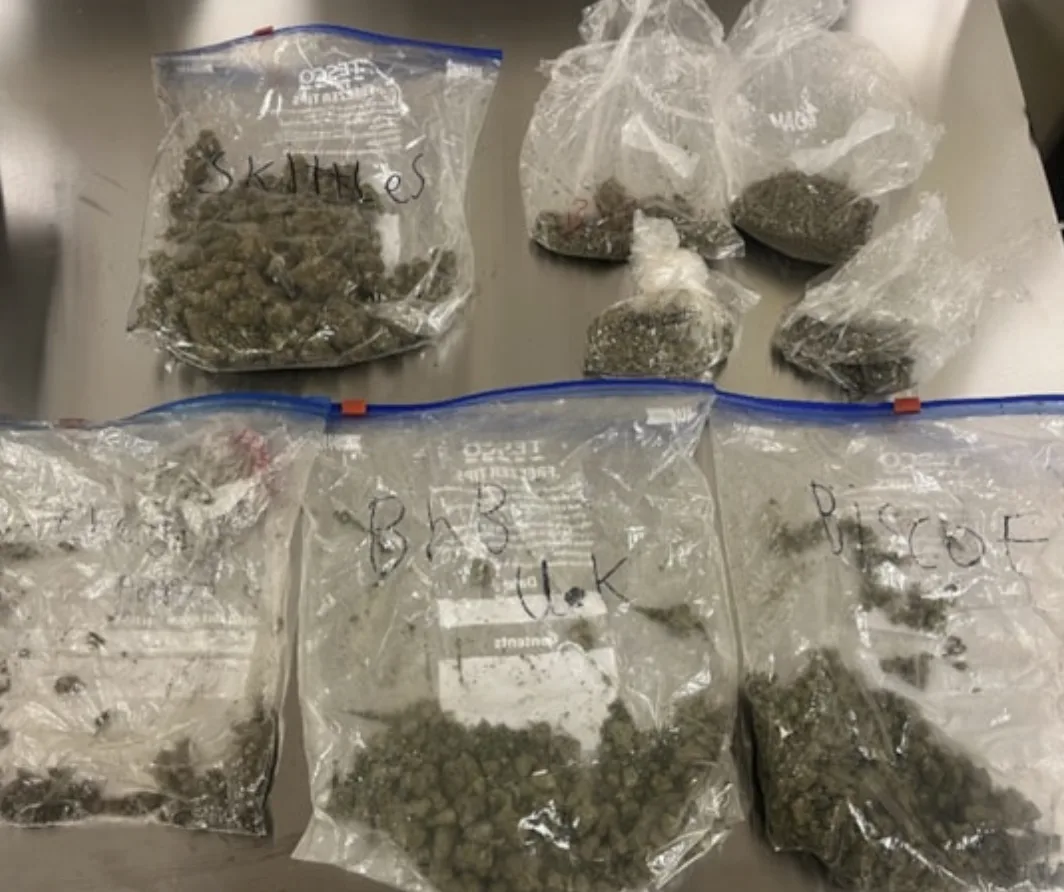 Swindon Cops Nab Garden Drug Dealers with Â£4K Class A Haul in High-Speed Sting