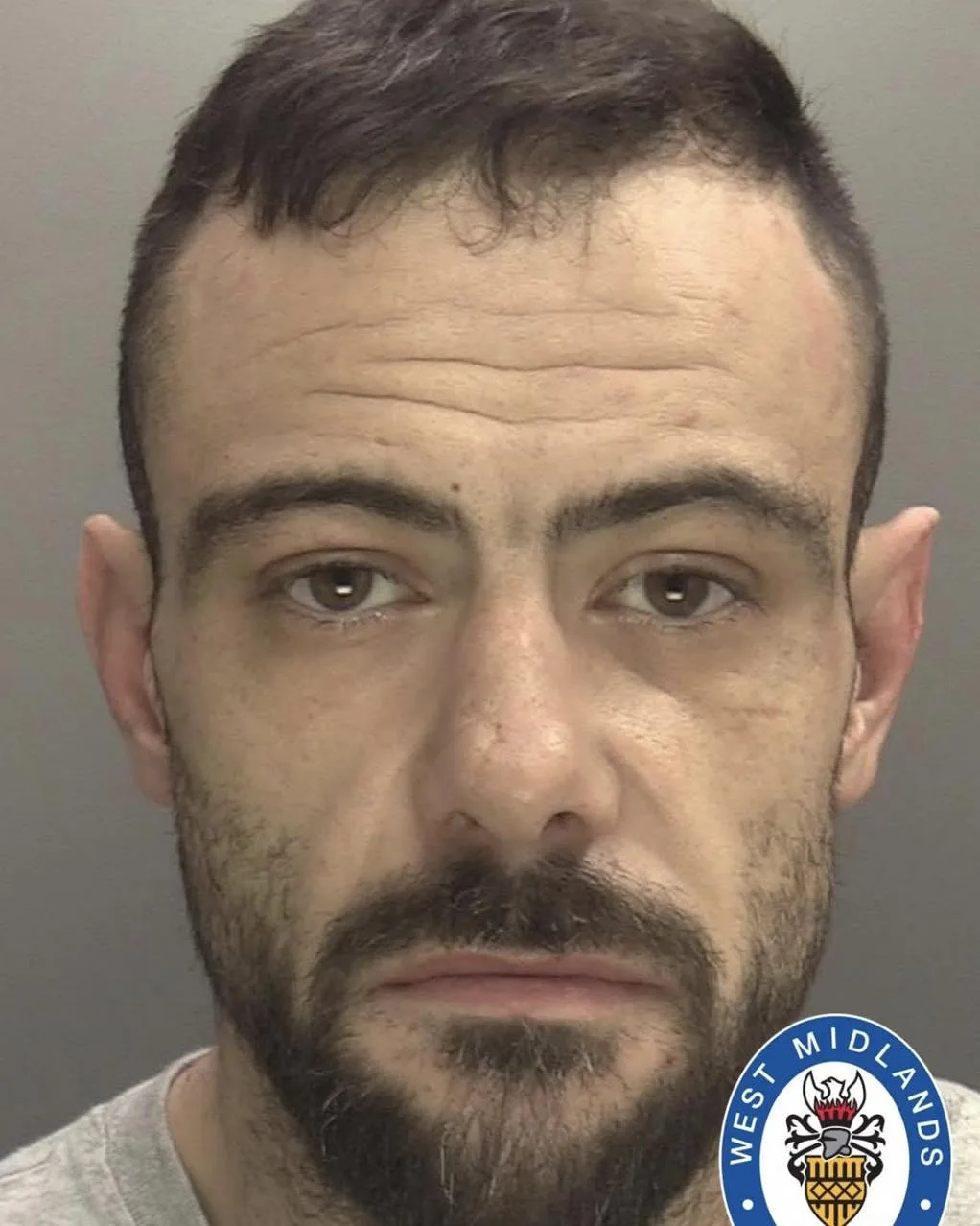 Chainsaw Attack in Olton Woodland Ends with Jail Sentence