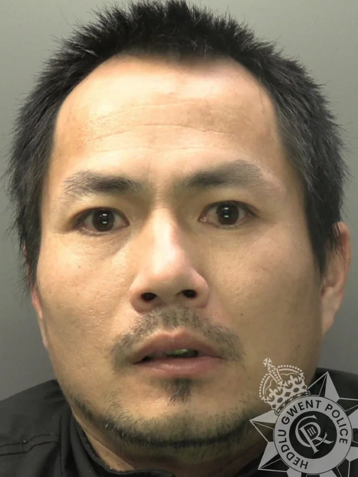 Neighboursâ€™ Tip-off Leads to Newport Cannabis Farm Bust with 240 Plants and Jail for Grower