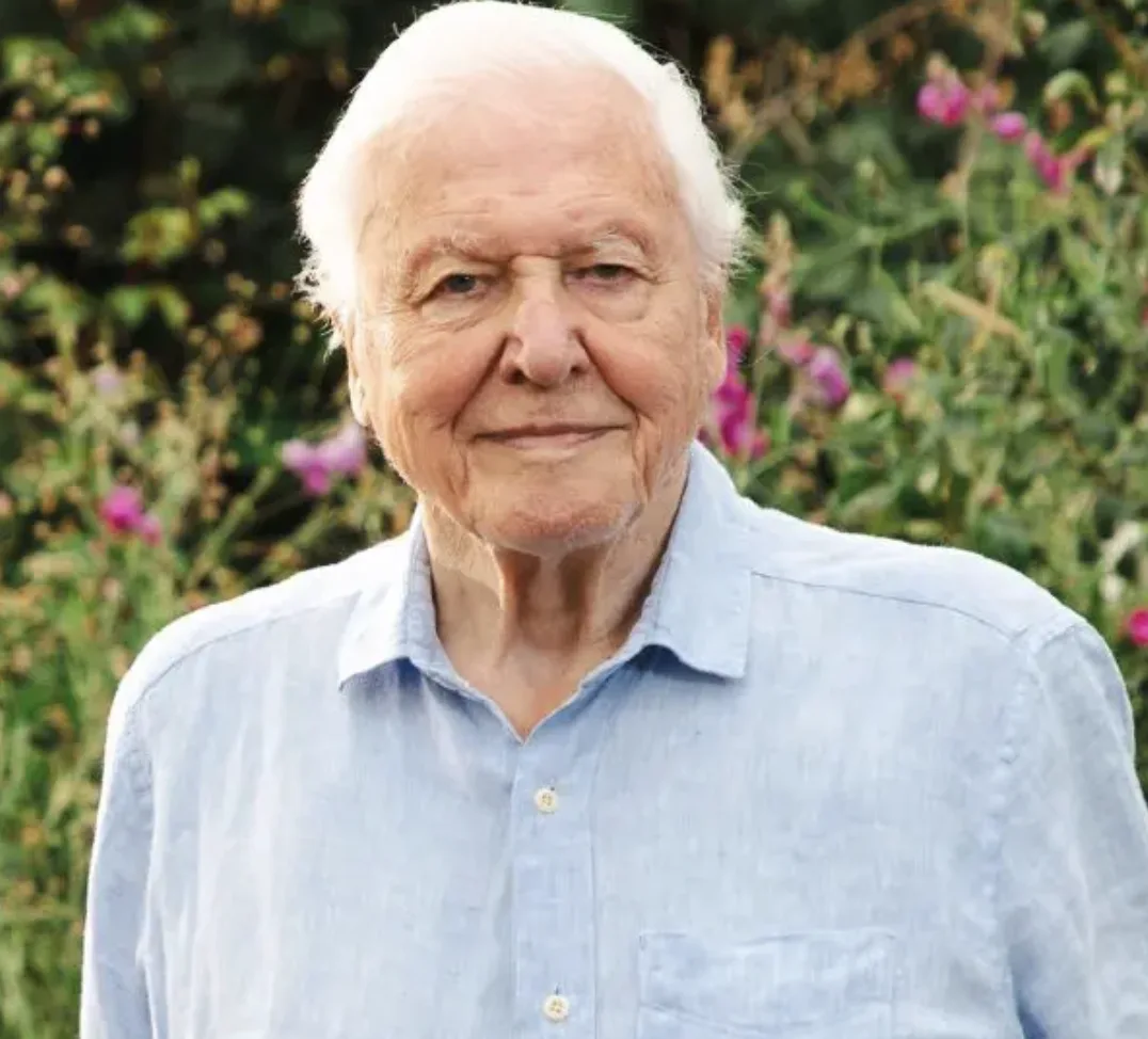 BBC Marks Sir David Attenboroughâ€™s 100th with Epic Week of New Shows and Classics