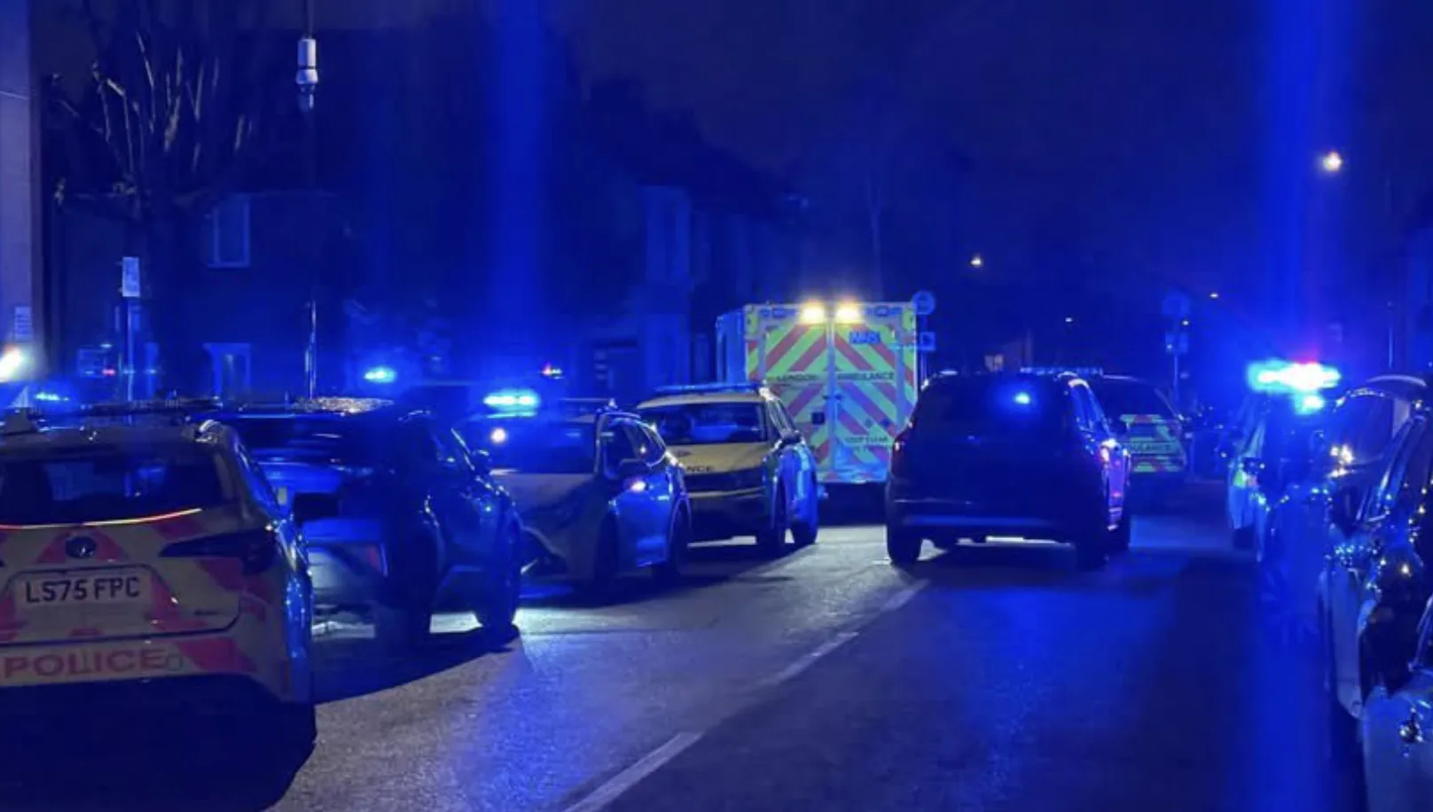 Man, 60, Fatally Stabbed in Walthamstow â€“ Neighbour Charged with Murder