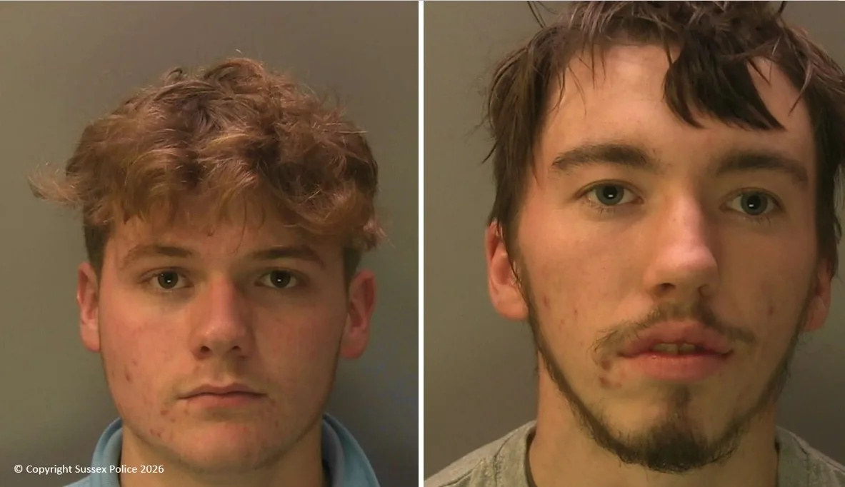 Two Men Jailed for Horrific Sheep Attack with Explosive Bangers on South Downs