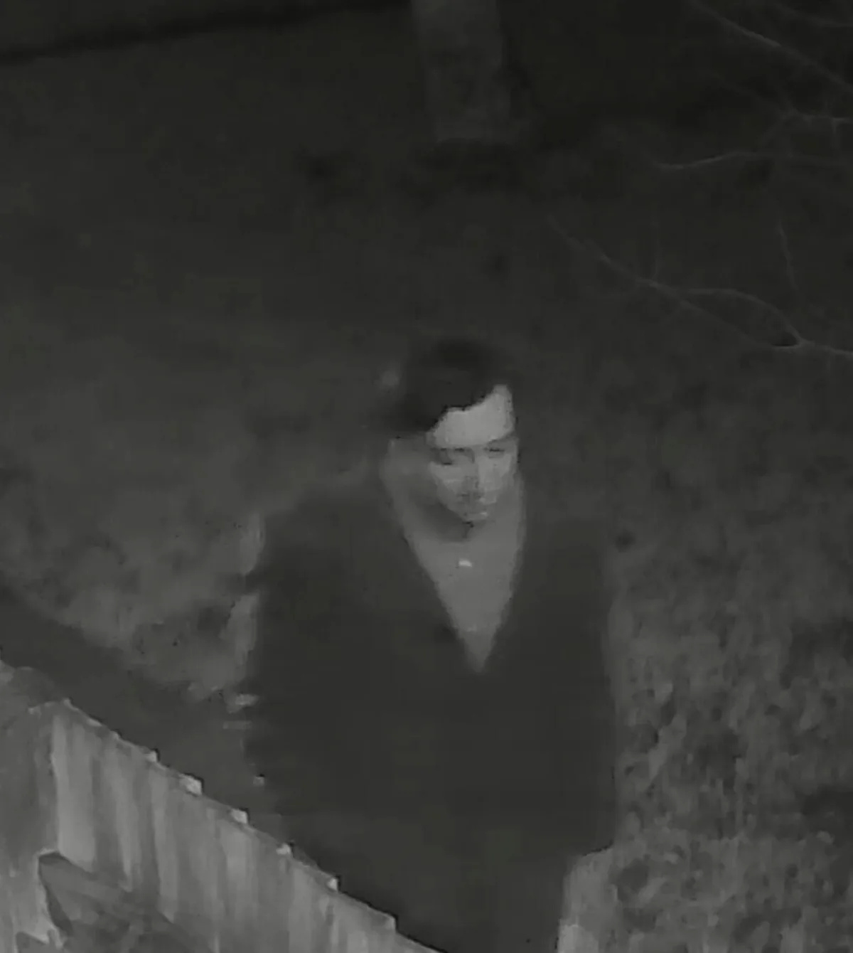 Crawley Teen Targeted in Shocking Robbery Attempt â€“ Police Release CCTV to Track Suspect
