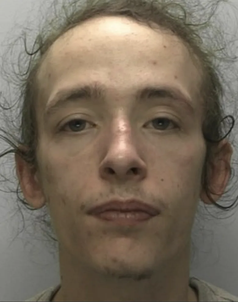 Torquayâ€™s Ty Mayson Jailed Nearly a Year for Dangerous Driving and Axe Possession
