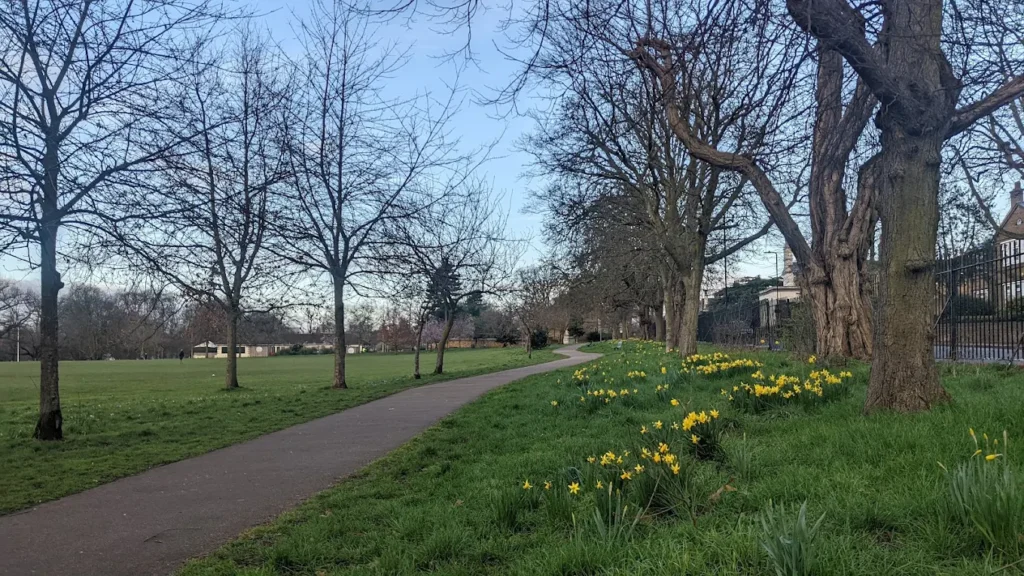 Man Charged After Stabbing in Acton Park Leaves Victim Critical