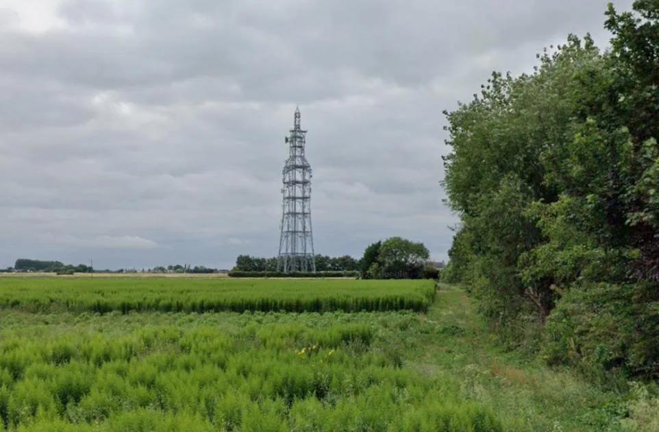 Man in 20s Dies Following Fall from Phone Mast