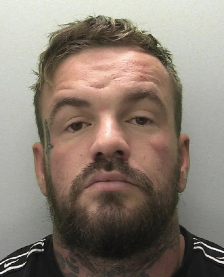 Ryan Webb jailed 10 years for brutal assaults in Norwich home