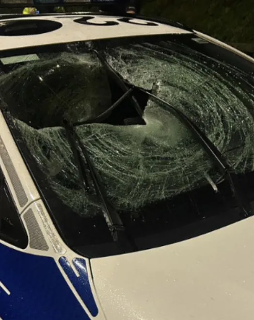 Man and Teen Sentenced for Throwing Bin at Police Car in Telford