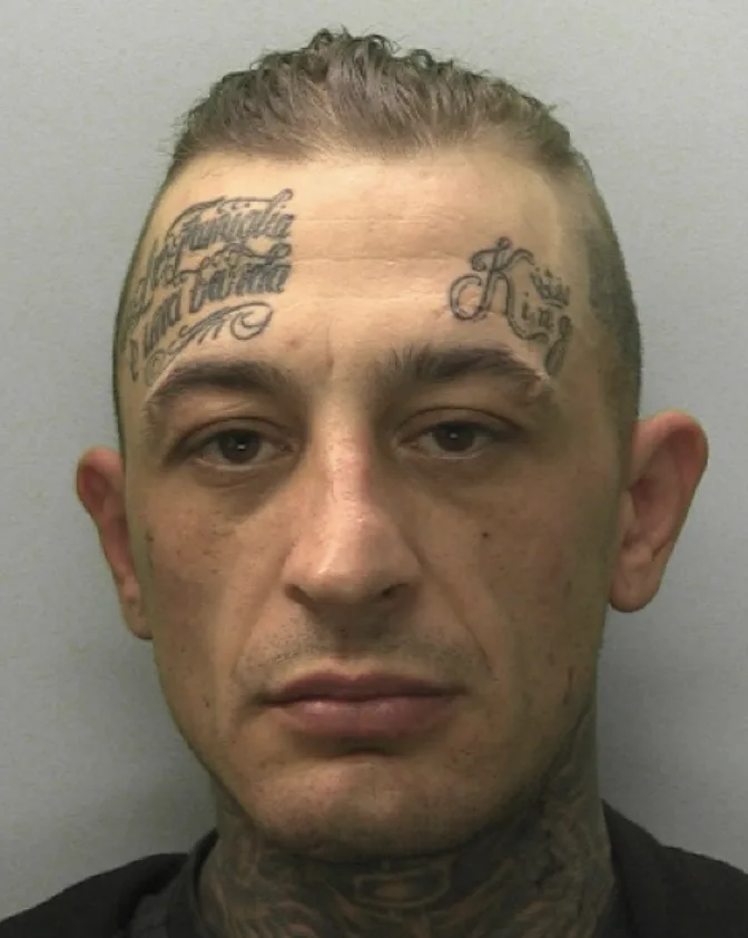 Police Seek Public Help After Jamie Field Reported Missing Near Bodmin and St Austell