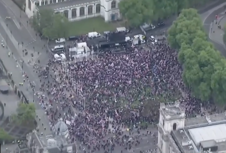 Met Police Detain 11 During Large-Scale Rival Protests in London