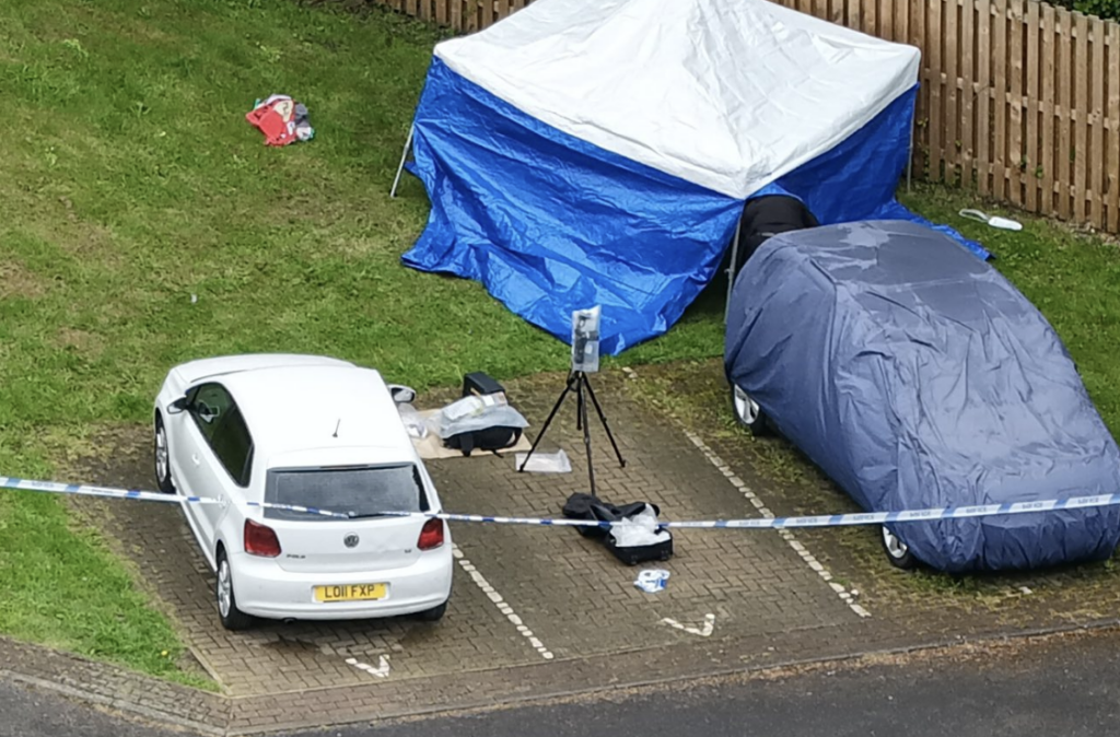 Several Arrested Following Woman Stabbing Incident