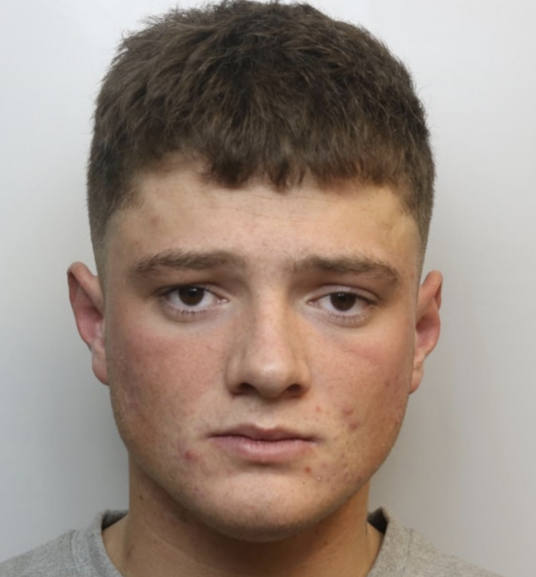 Man Sentenced for Violent Assault on 85-Year-Old