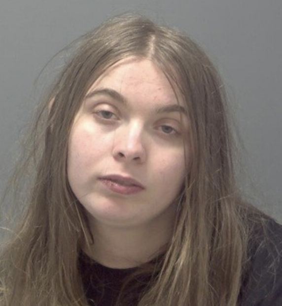 Woman Jailed for Attempted Arson and Threats at Support Centre