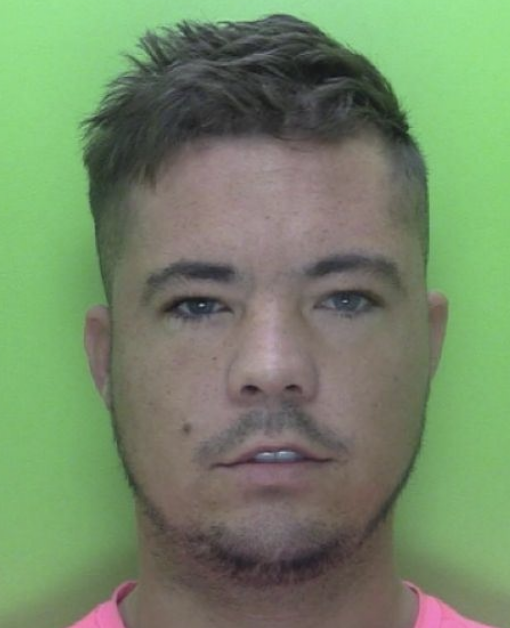 Two Drug Dealers Sentenced for Cocaine and Cannabis Supply