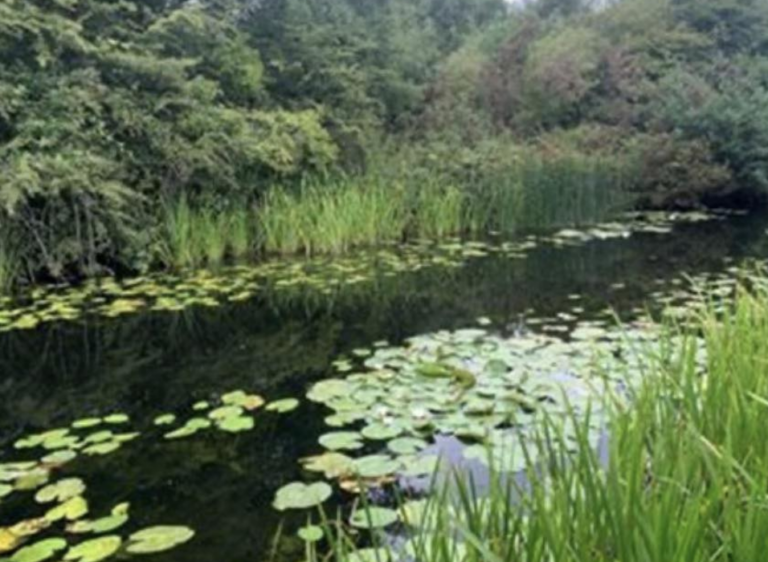 Police Renew Appeal Over Baby Found in Canal After Five Years