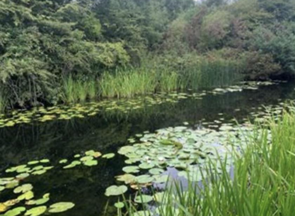Police Renew Appeal Over Baby Found in Canal After Five Years
