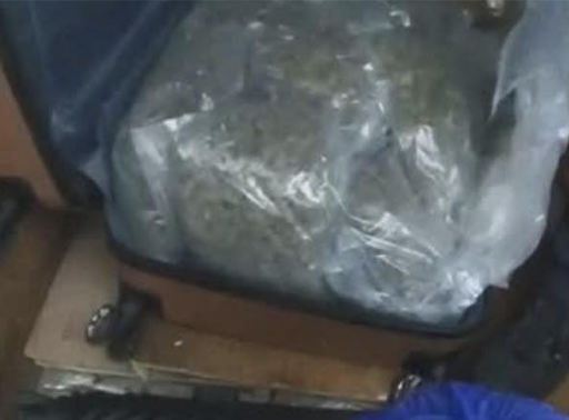 Man Sentenced Following £140k Cannabis Seizure in Police Raid