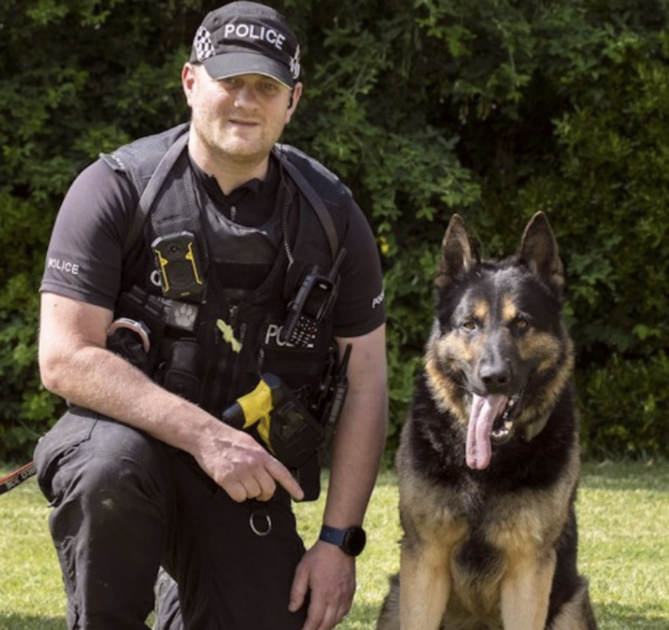 Police Dog PD Kaiser Awarded Top Canine Honour in England and Wales