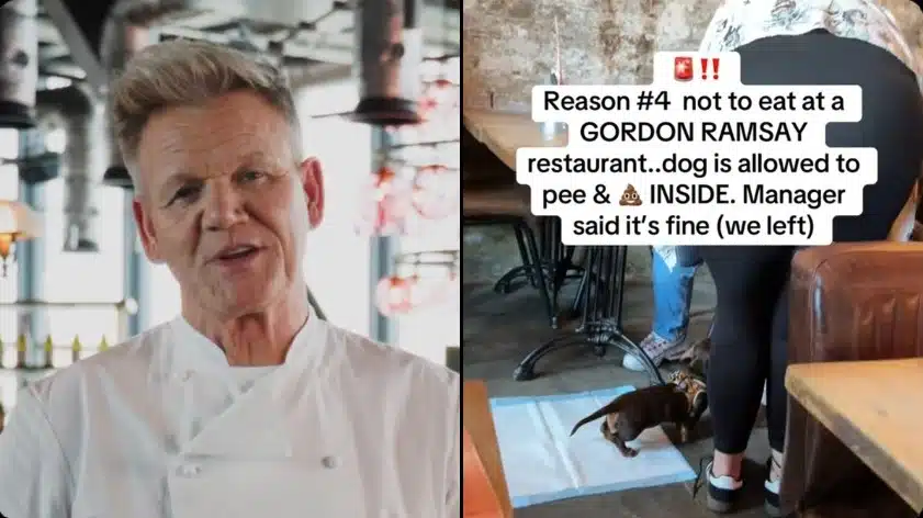 Chef Gordon Ramsay Refutes Claims Dog Defecated Outside Local Pizza Takeaway