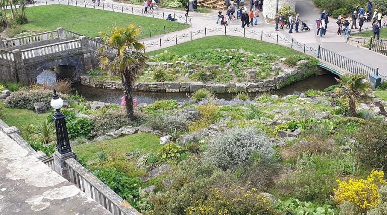 Man Arrested Following Assault on Woman in Lower Gardens