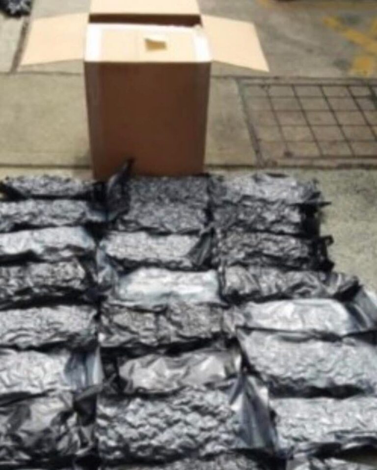 Three Arrested Following £139M Cannabis Seizure at Major Port