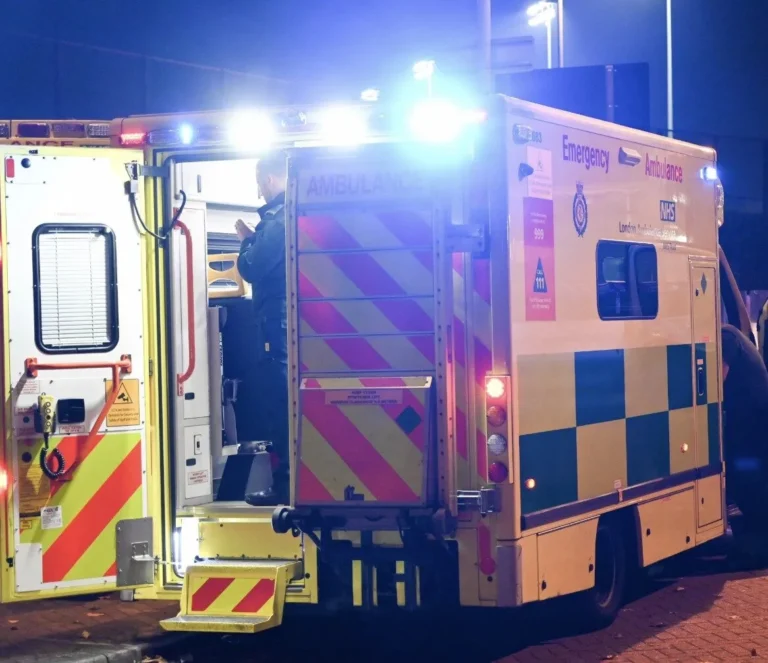 Murder Inquiry Underway Following Stabbing Incident in Crystal Palace