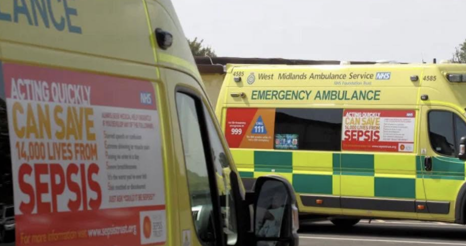 Man Dies After Vehicle Collides with Tree on Oldbury Road