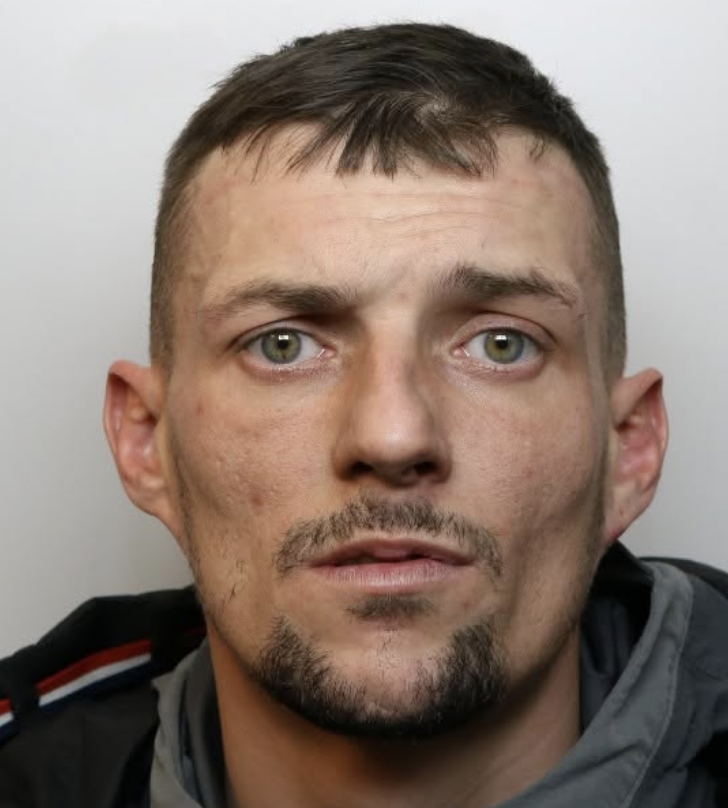Man Sentenced for Dog Neglect and Dangerous Driving Pursuit
