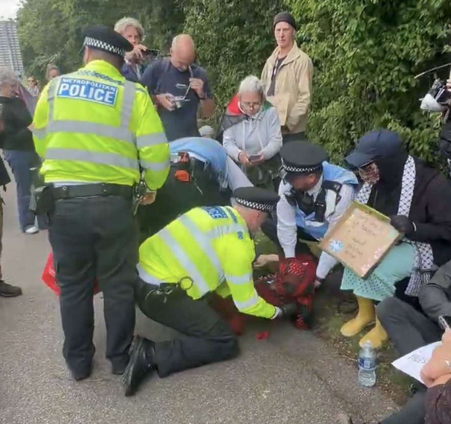 72 Arrested During Large Protest at Palestine Action Sentencing