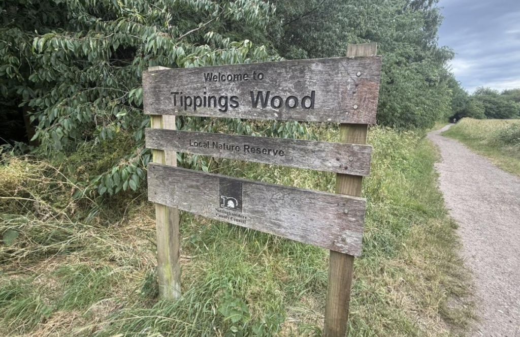Specialist Ambulance Responds to Rescue Incident in Tippings Wood Rainworth