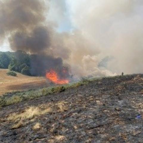 Four Hectares Destroyed as Firefighters Battle Large Field Blaze Near Battle