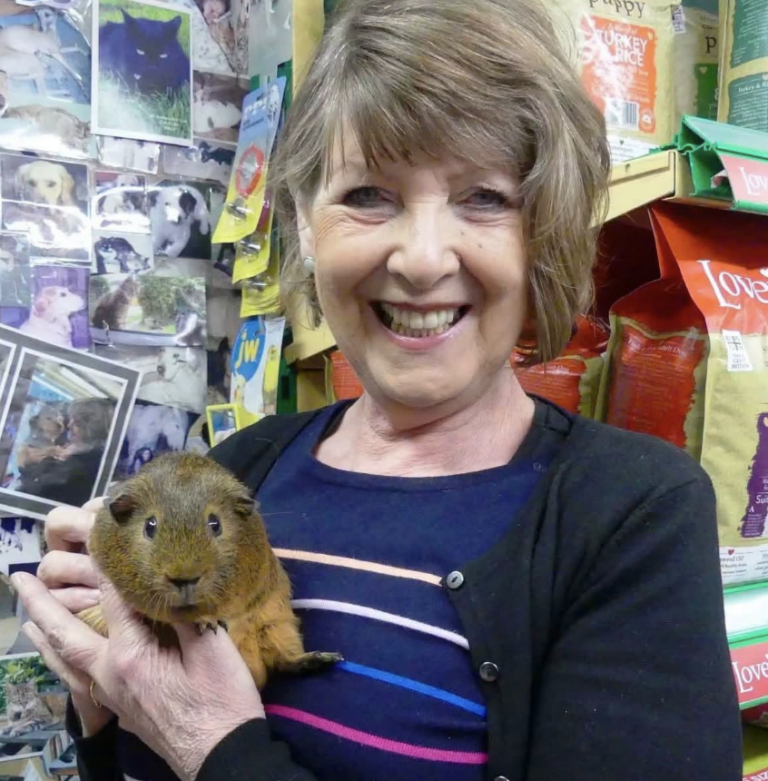 Pet Shop Owner Dies in Head-On Collision on Lydiard Plain; Incident Treated as Murder