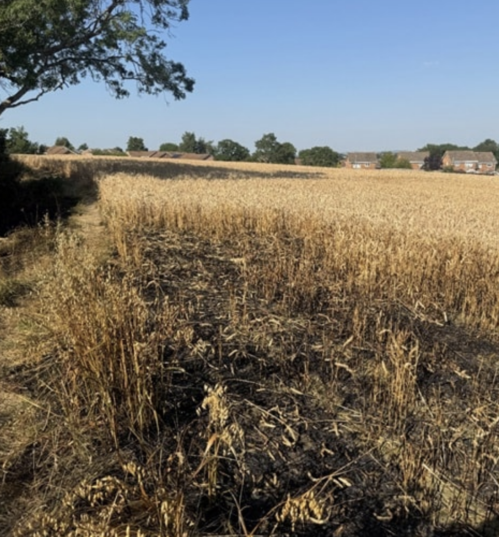 Suspected arson destroys crops in Trowbridge as police appeal for witnesses