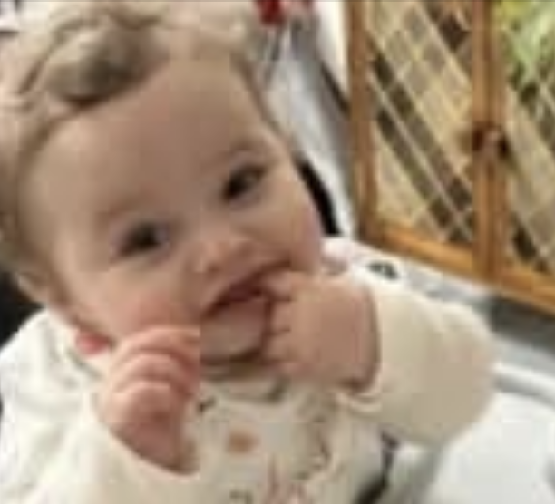 Coroner Signals Full Inquest Into Murder of Toddler Preston Davey as Public Bodies Face Scrutiny