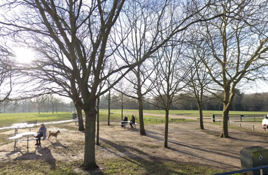 Teen Arrested After E-Scooter Collision Seriously Injures Pedestrian in Bexleyheath