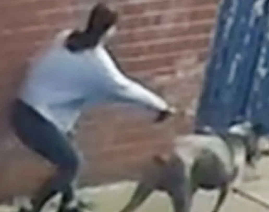 Two Young Children Hospitalised After Dog Attack at Leicester Playground as Police Release CCTV Appeal